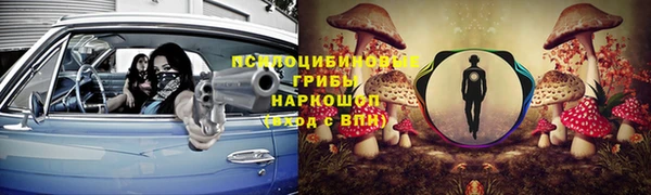 ГАЛЛЮЦИНОГЕННЫЕ ГРИБЫ Армянск