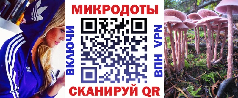 Псилоцибиновые грибы Magic Shrooms  Сольцы 